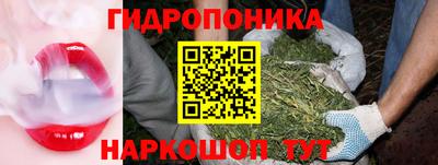 амф Обь