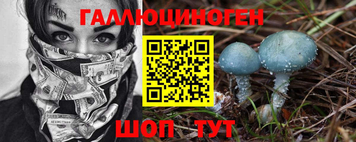 купить наркотик  Псилоцибиновые грибы MAGIC MUSHROOMS  Вход с VPN  Россошь 