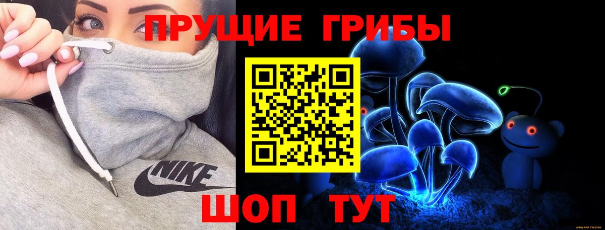 Псилоцибиновые грибы мицелий Россошь